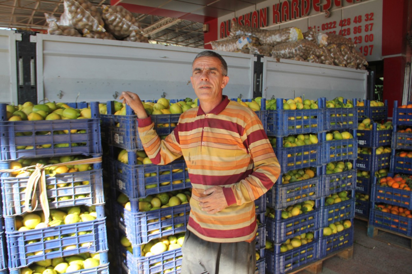 'Kışın en ucuz sebze ve meyveyi Adanalılar yiyor'